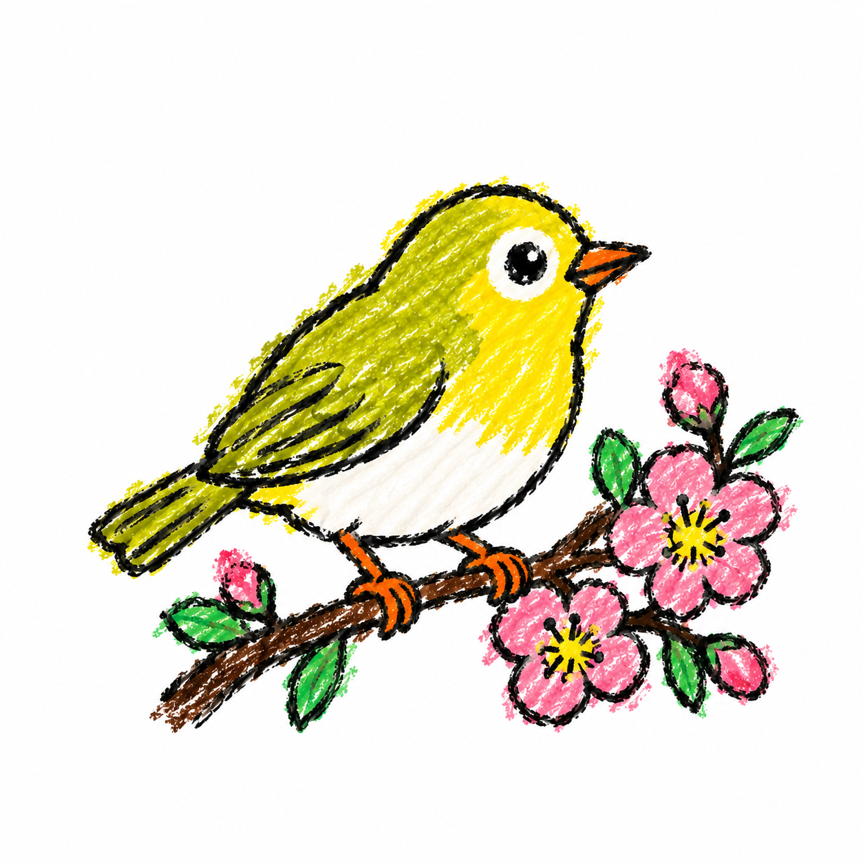 White-eye Scene