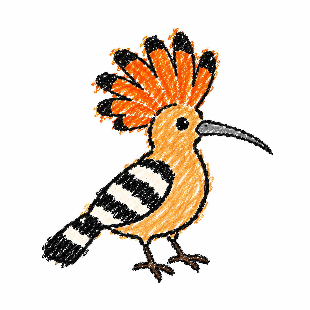 Hoopoe
