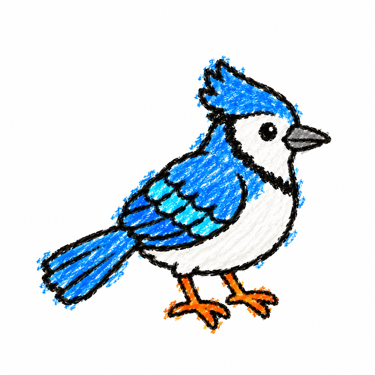 Jay