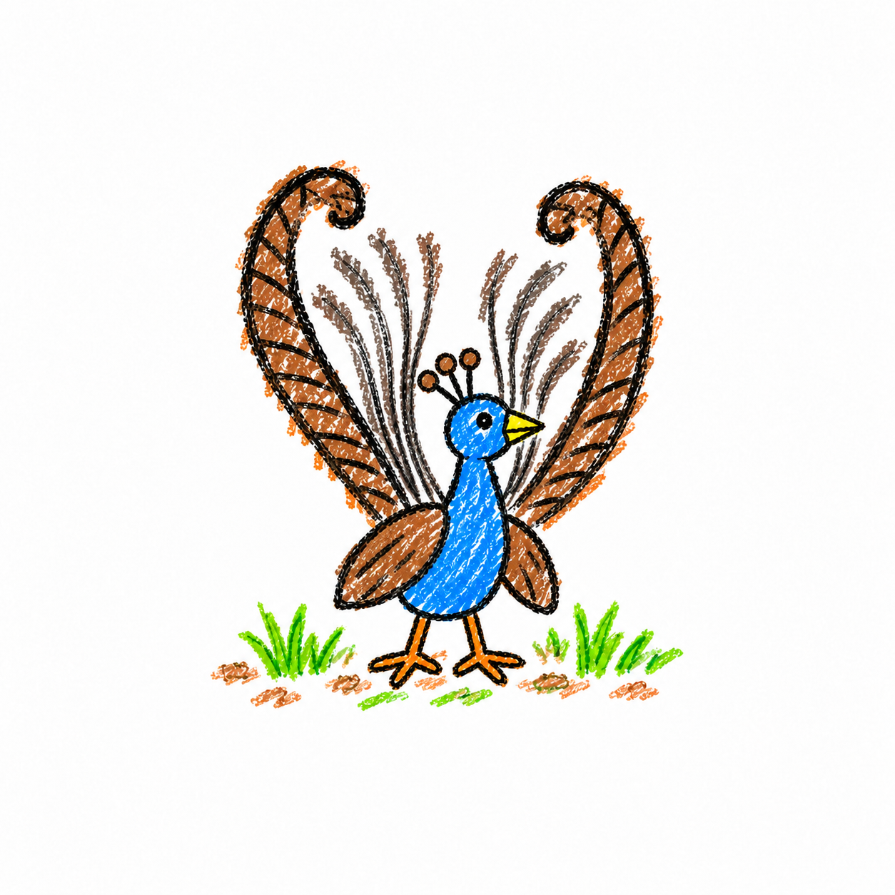 Lyrebird Scene