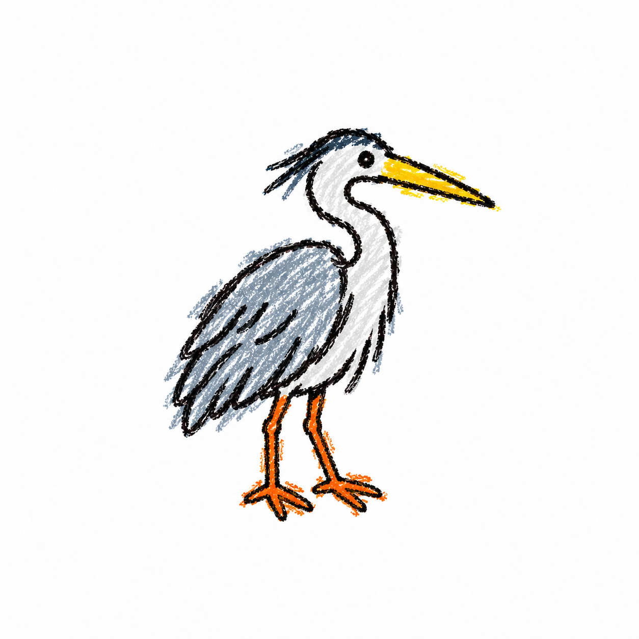 Gray heron