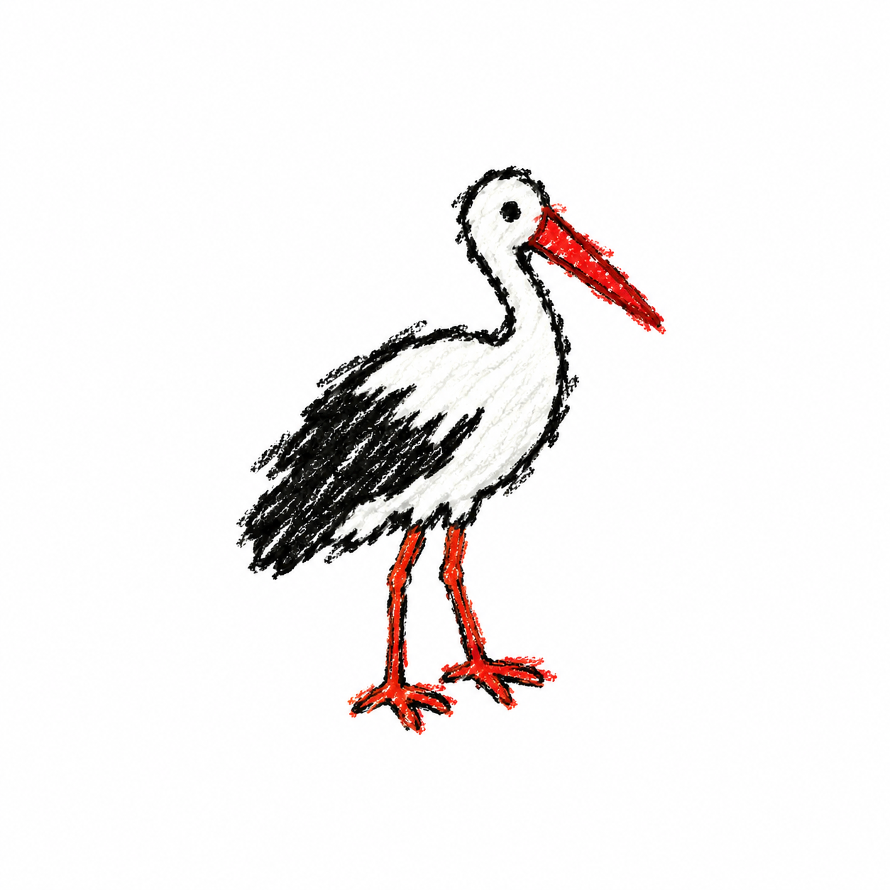 White stork