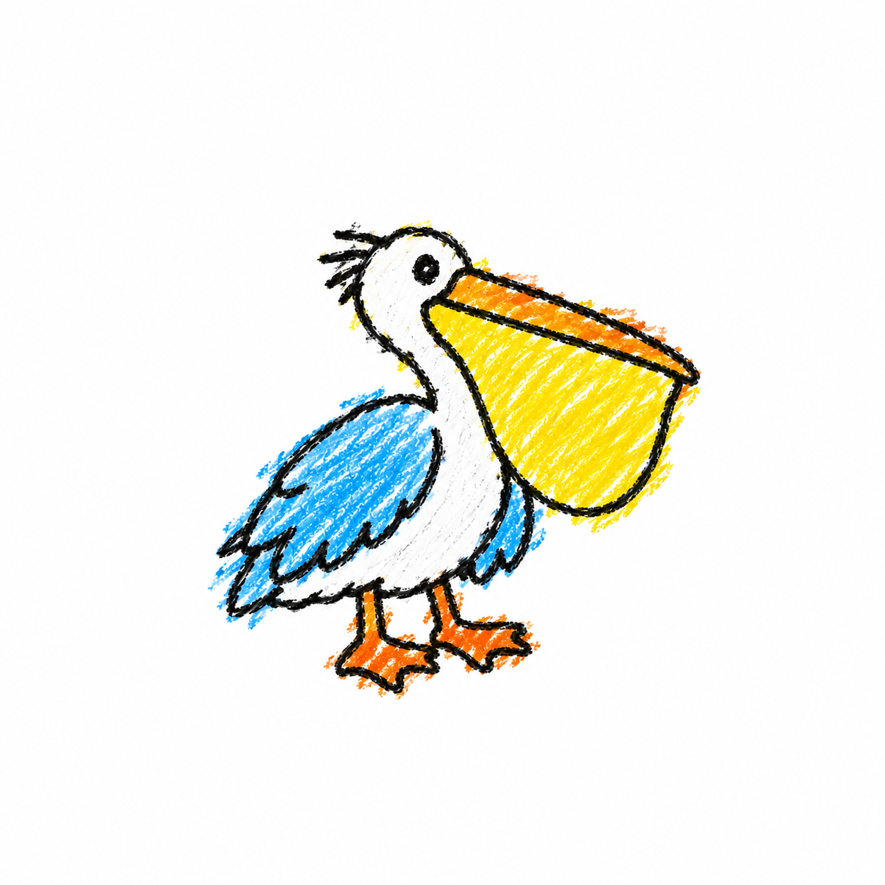 Pelican