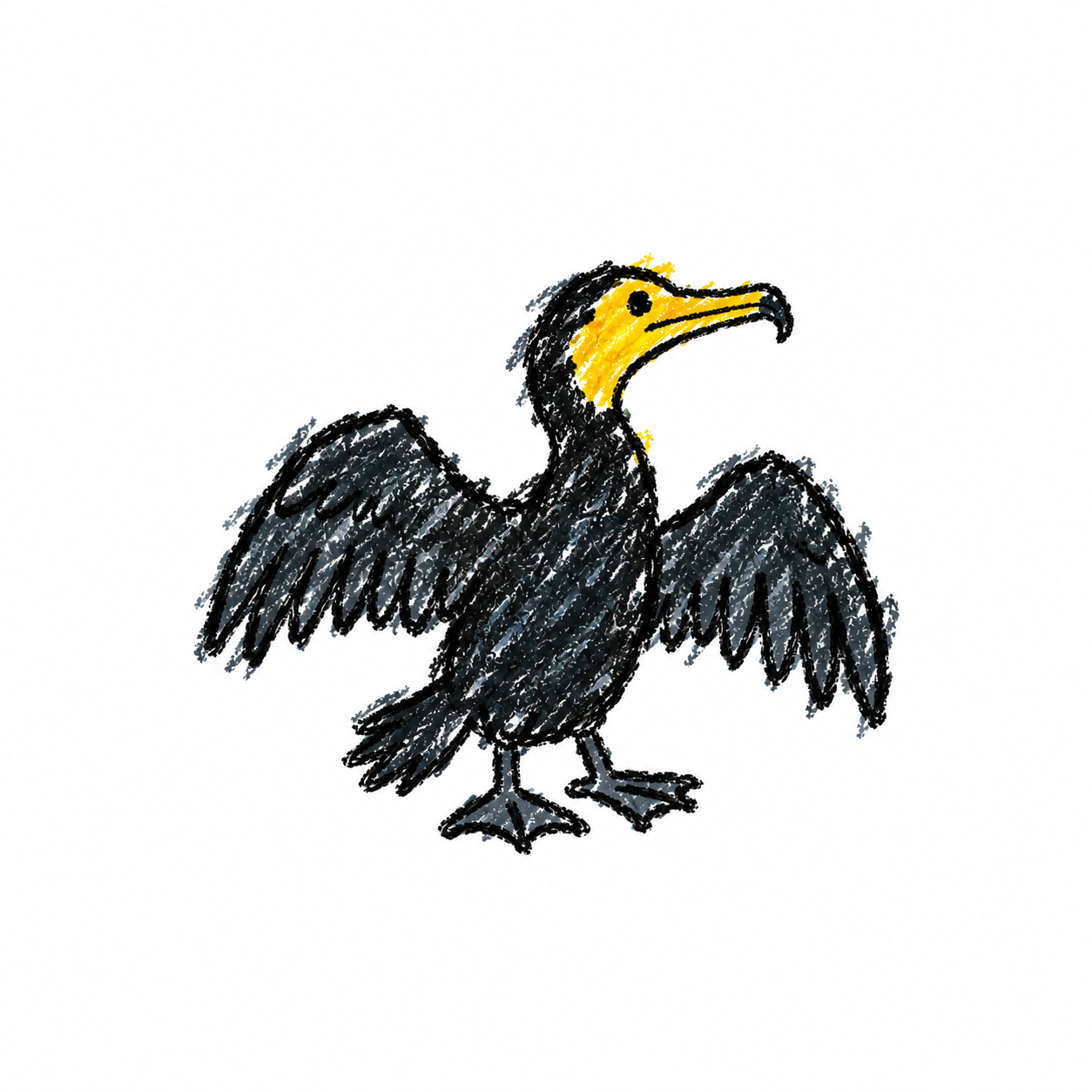 Cormorant