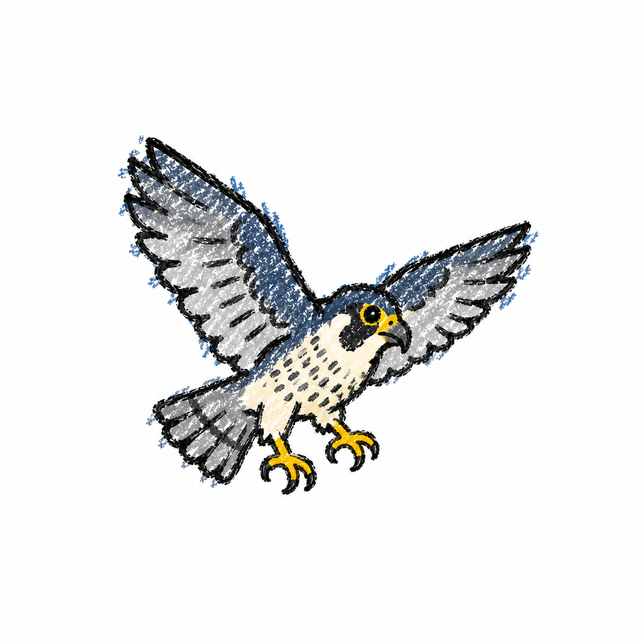 Peregrine falcon