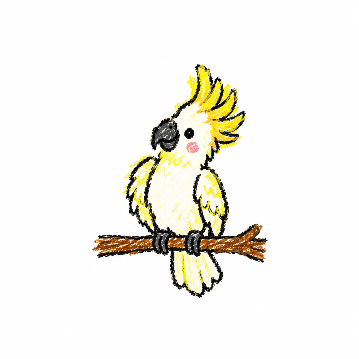 Cockatoo Scene