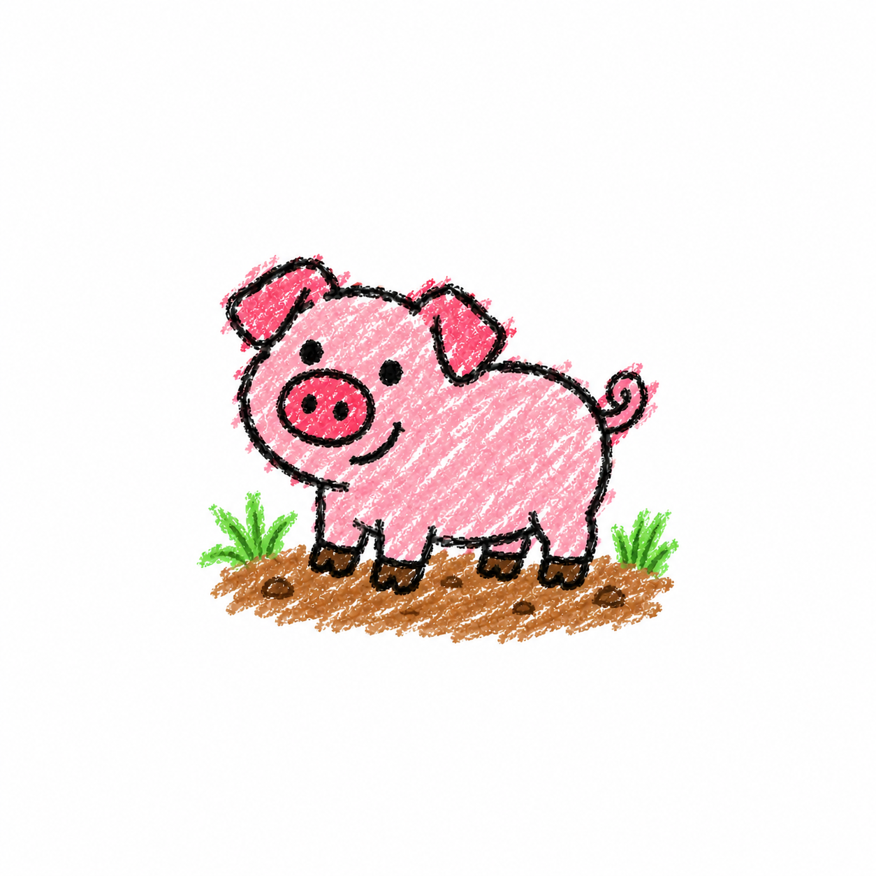 Domestic pig Scene