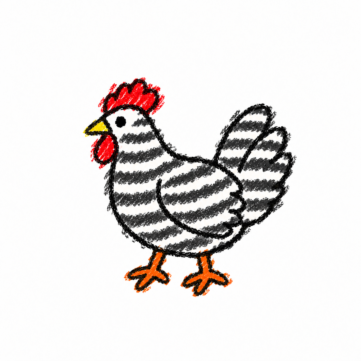 Barred chicken