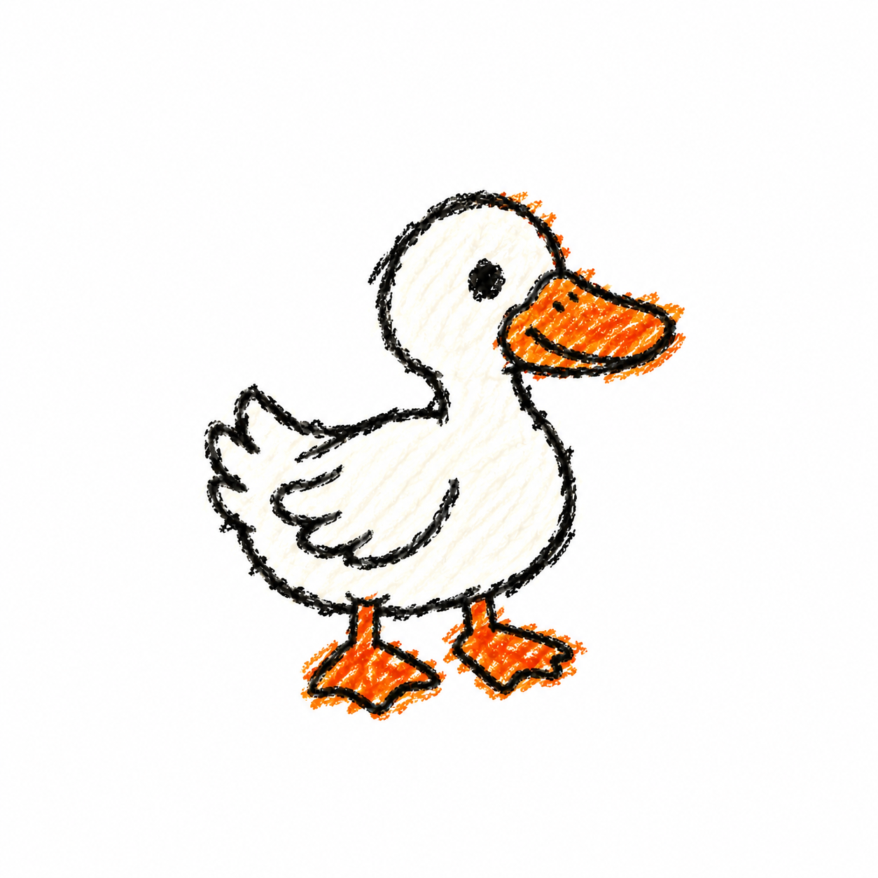 White duck