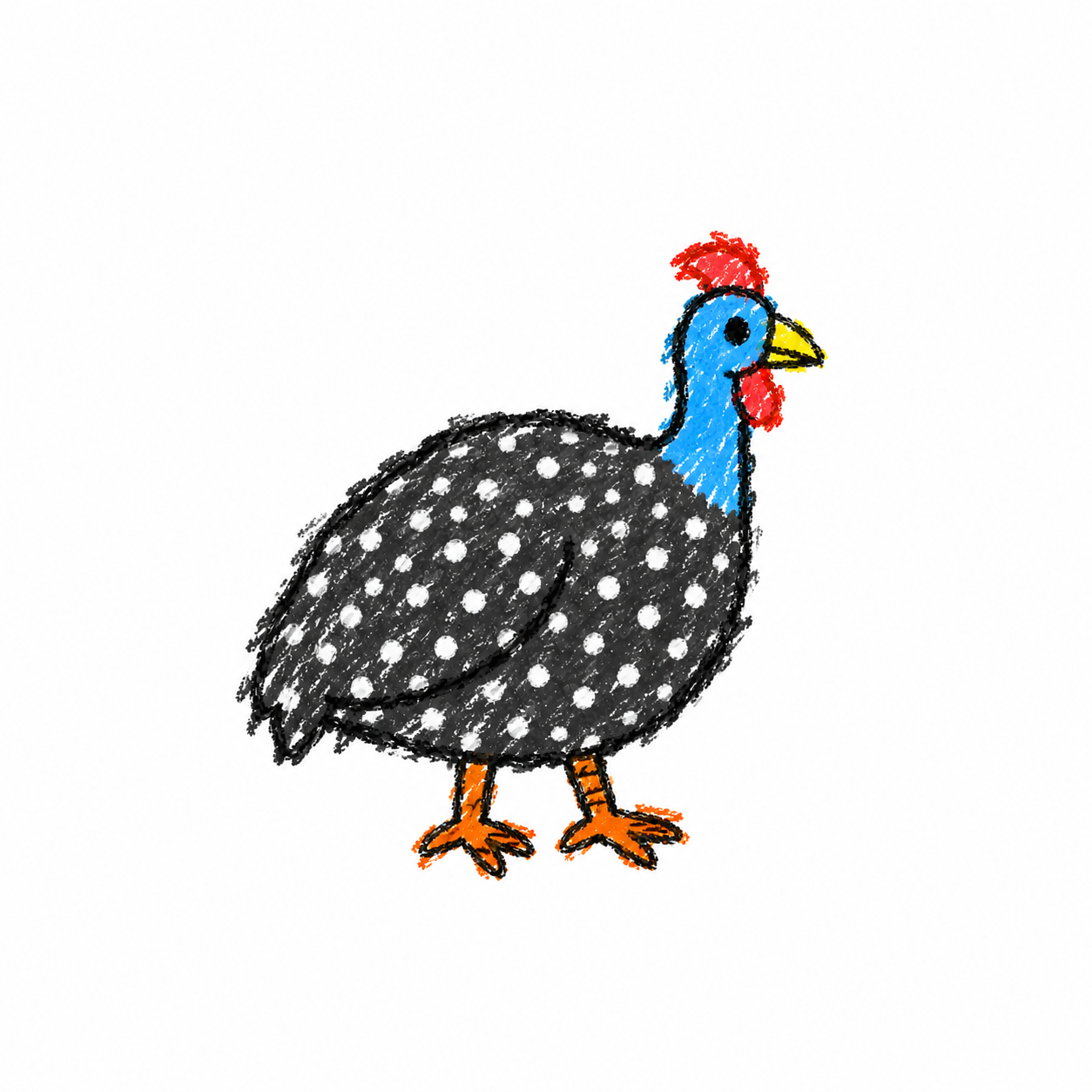 Guinea fowl