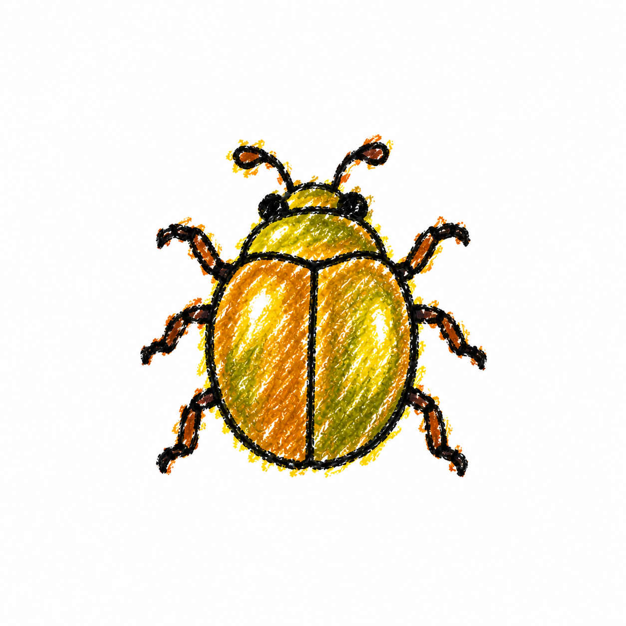 Scarab beetle
