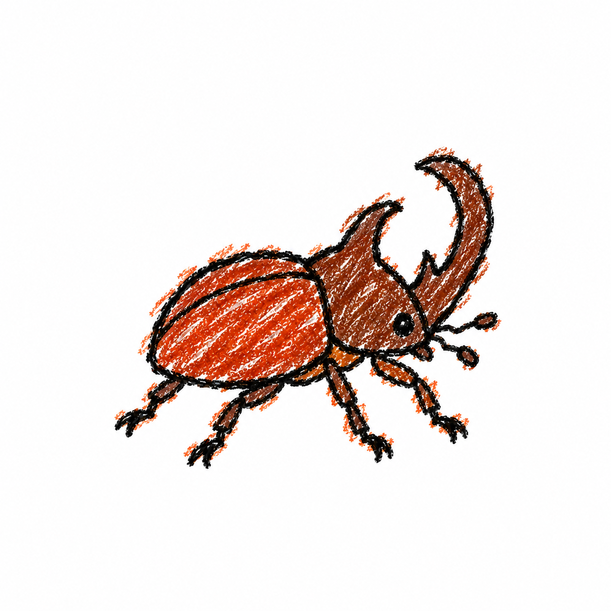 Rhinoceros beetle