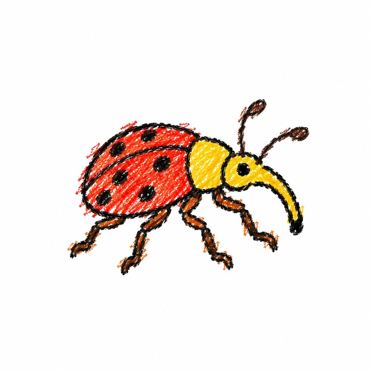 Weevil