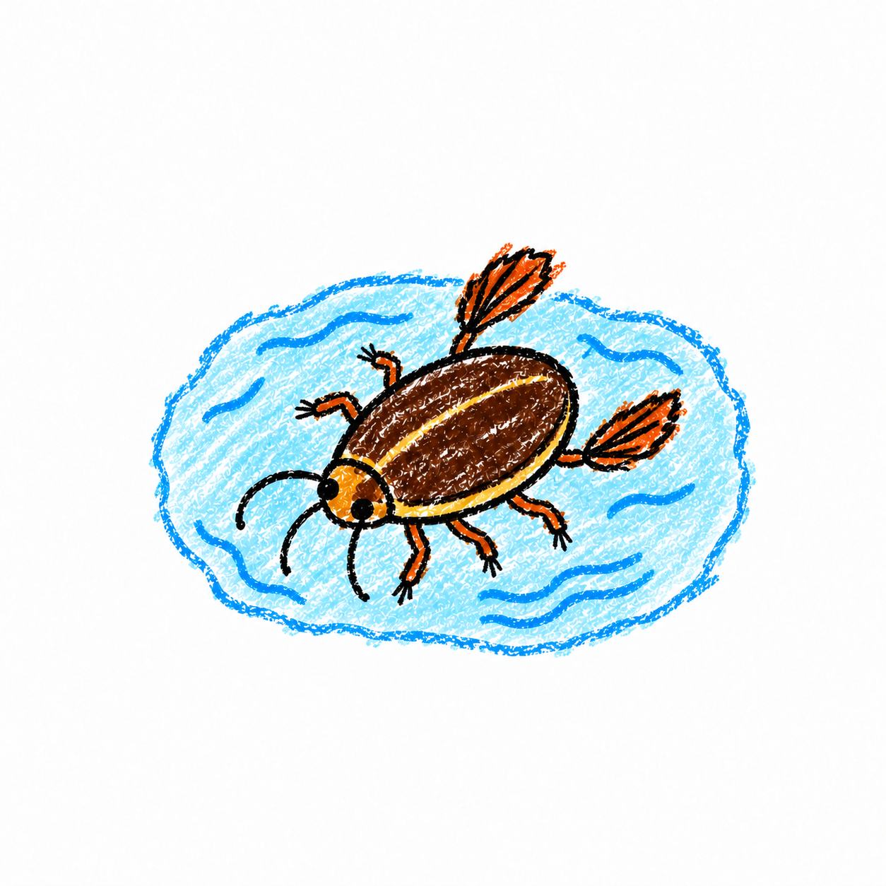 Predaceous diving beetle Scene