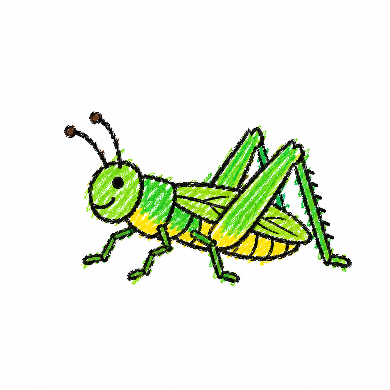 Locust