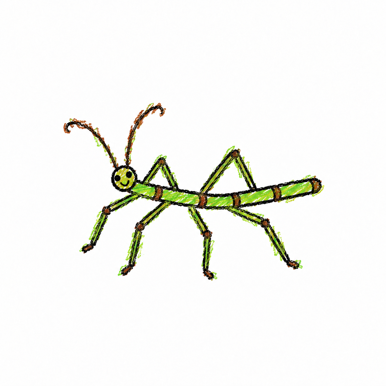 Stick insect
