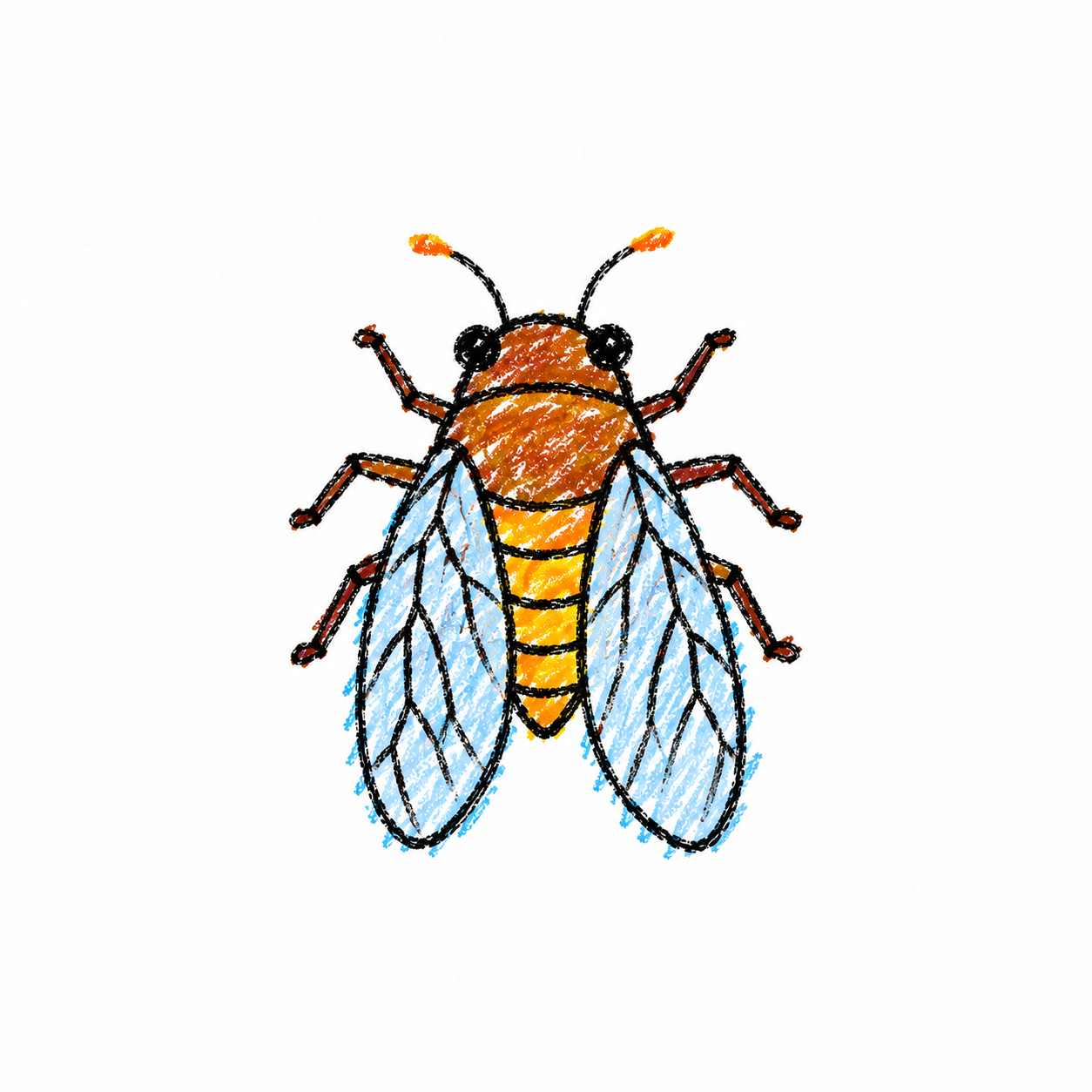 Cicada