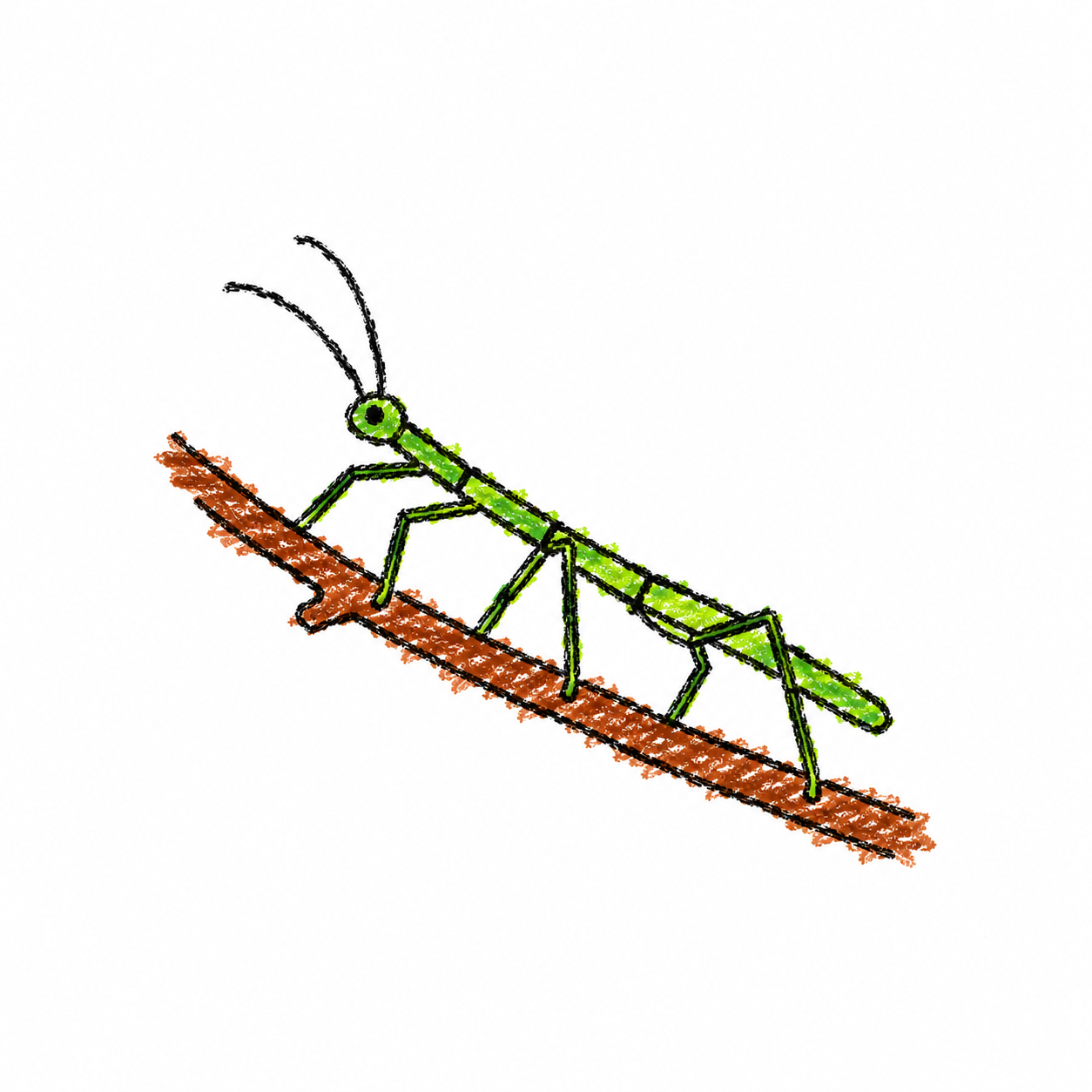 Stick insect Scene