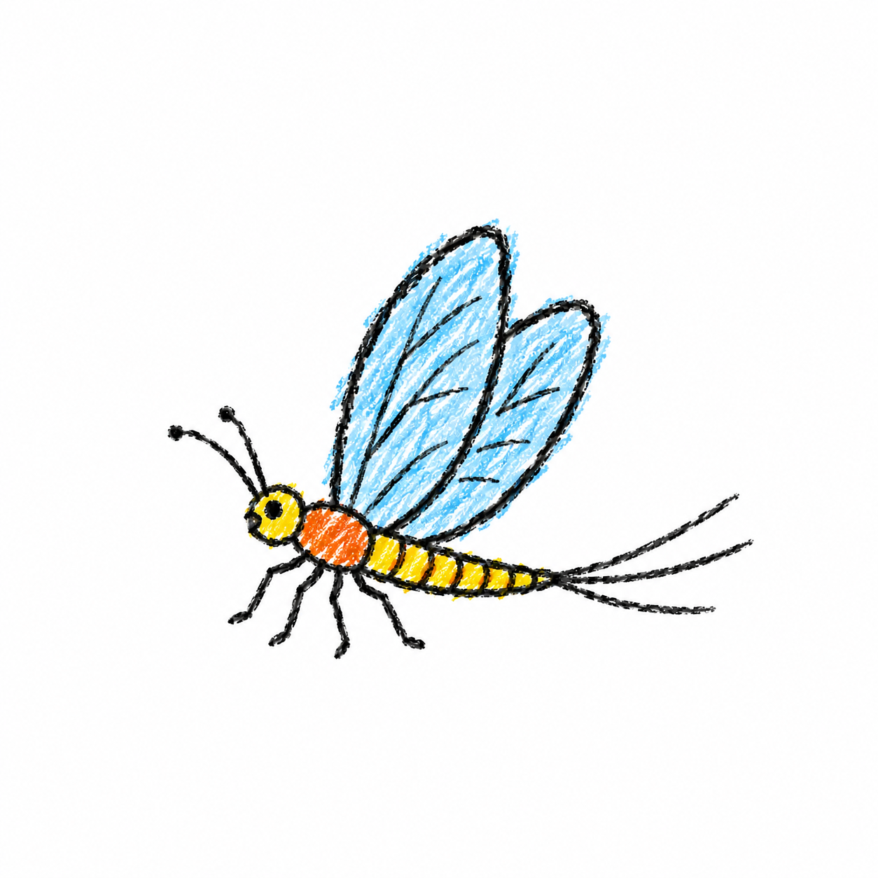 Mayfly