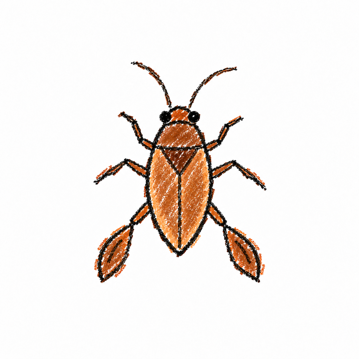 Backswimmer