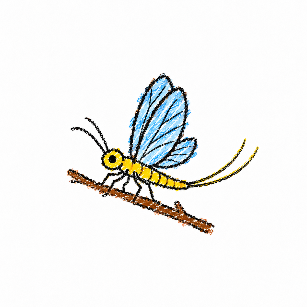 Mayfly Scene