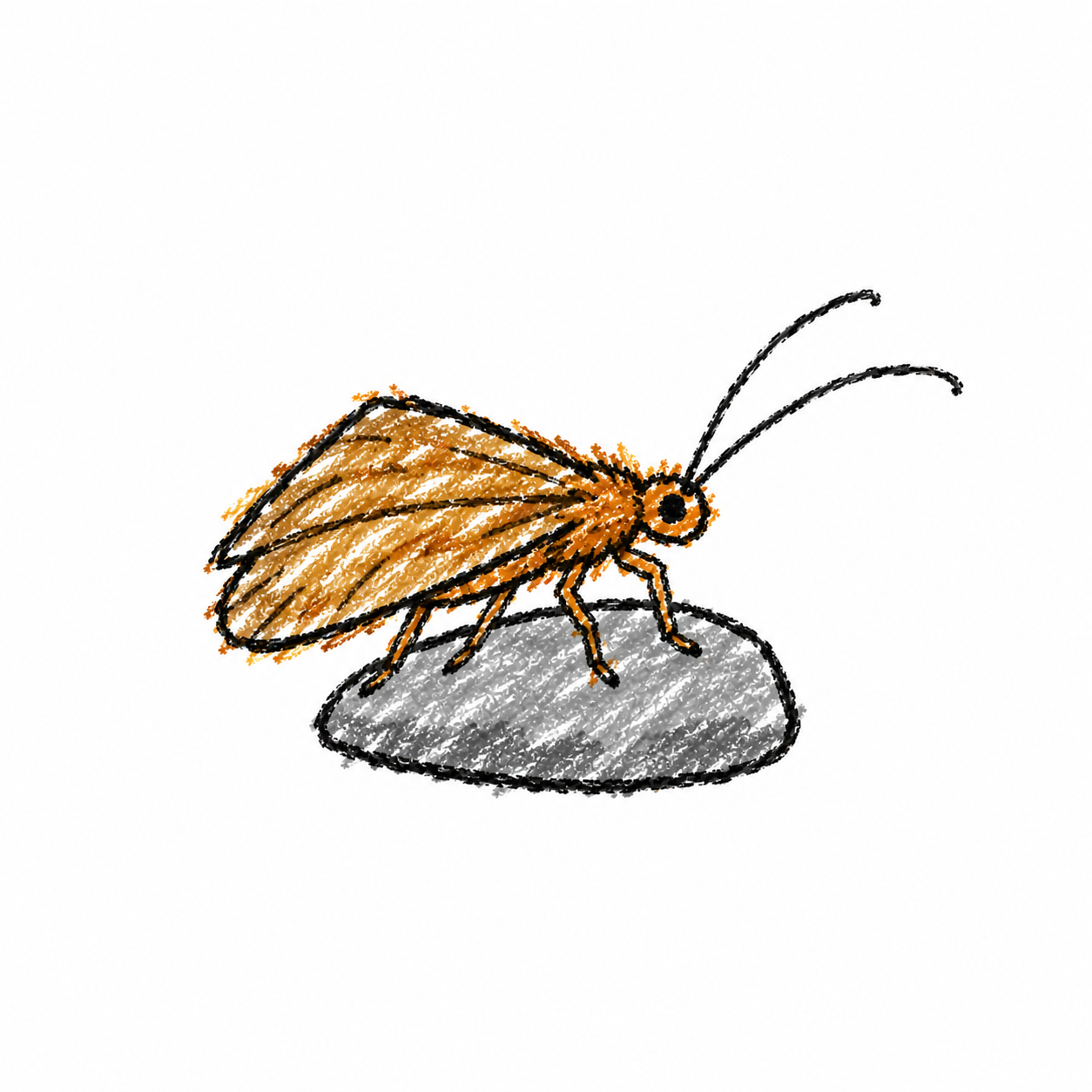 Caddisfly Scene