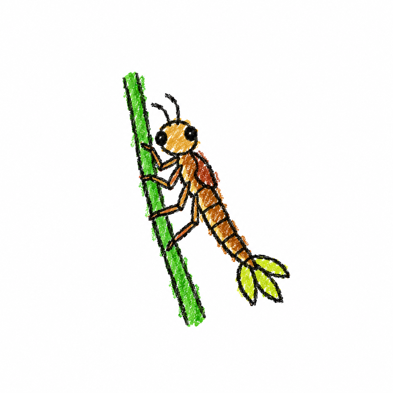 Damselfly nymph Scene