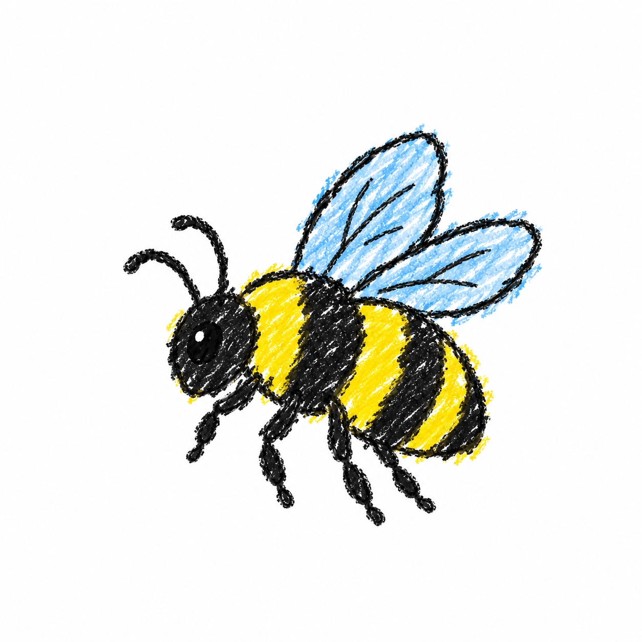 Carpenter bee