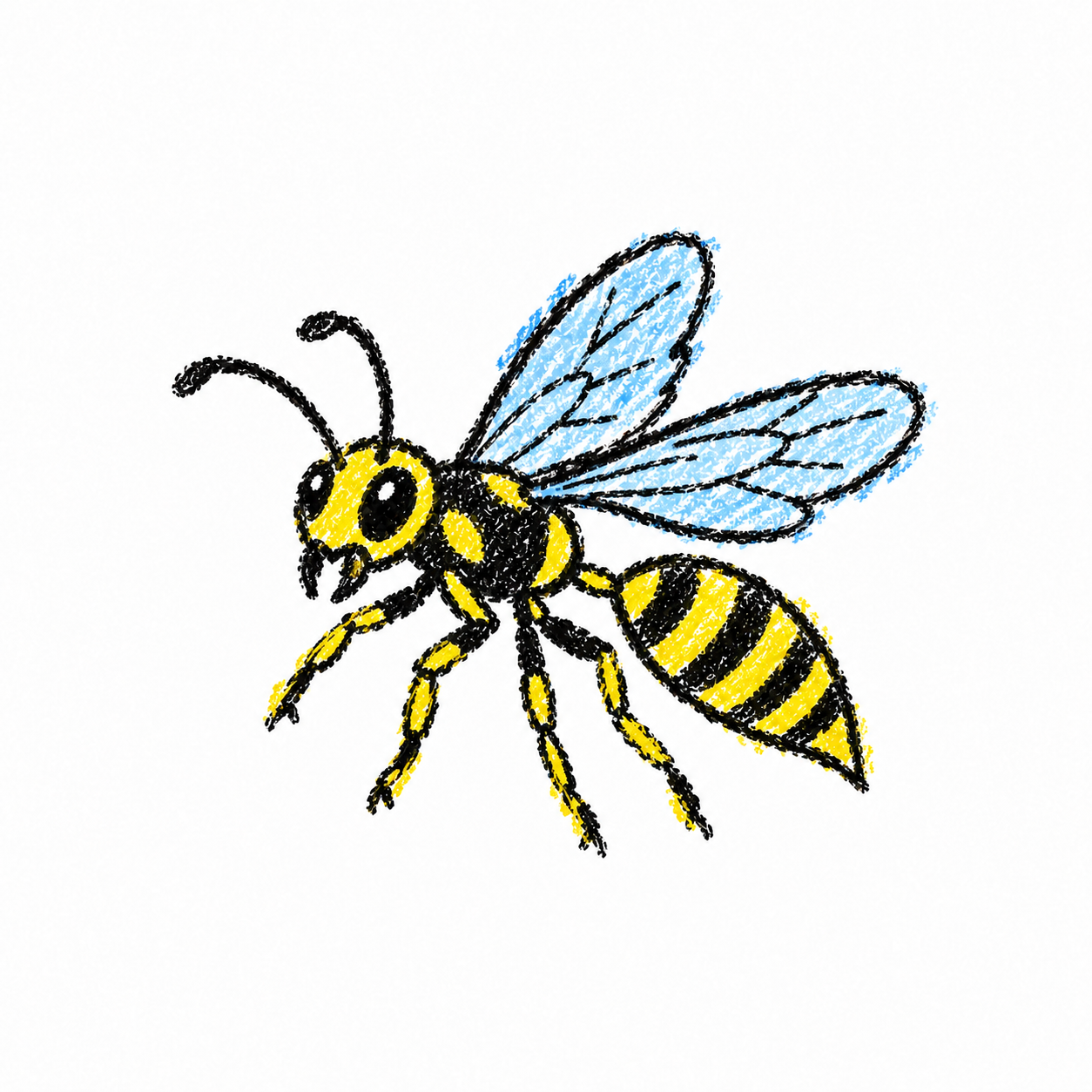 Wasp