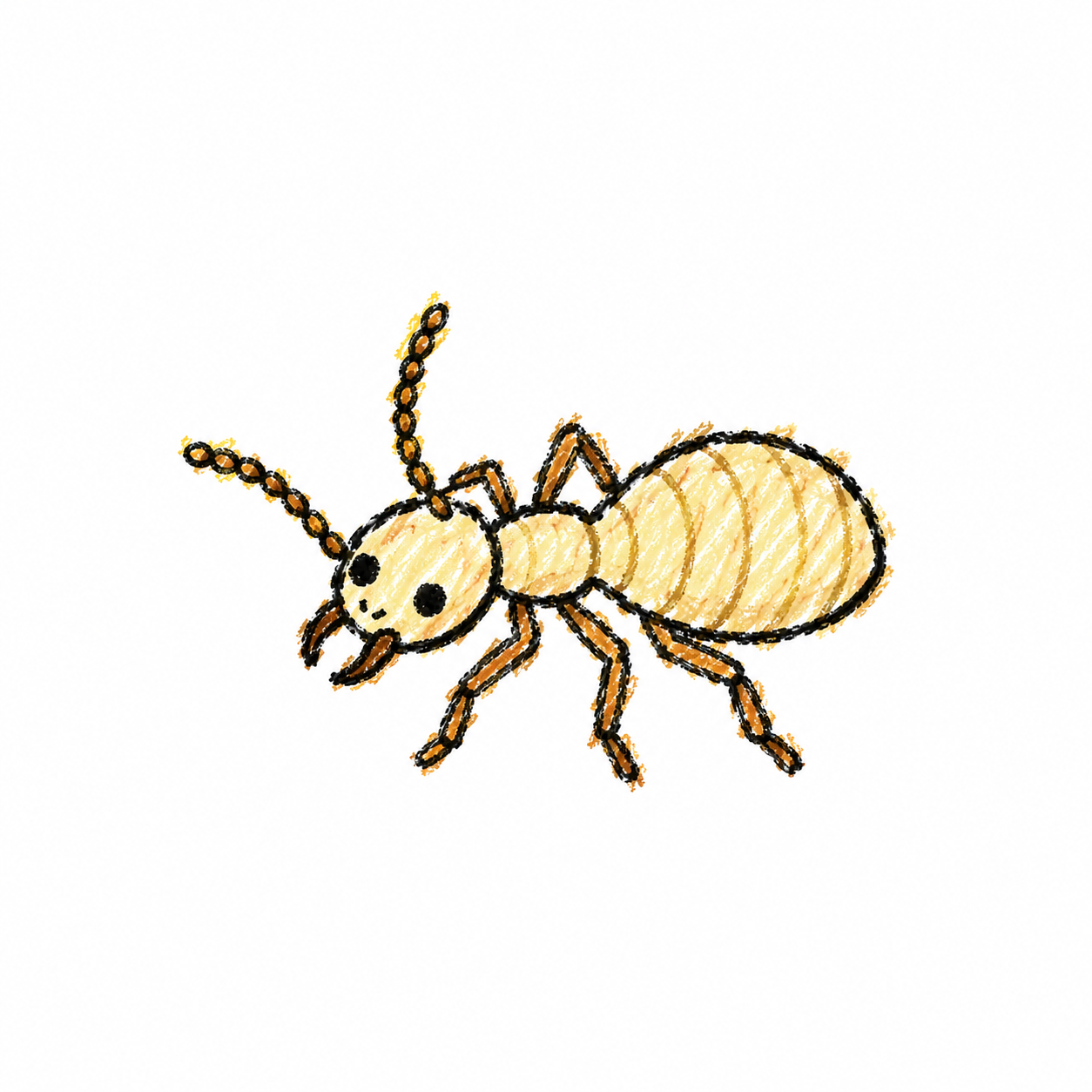 Termite