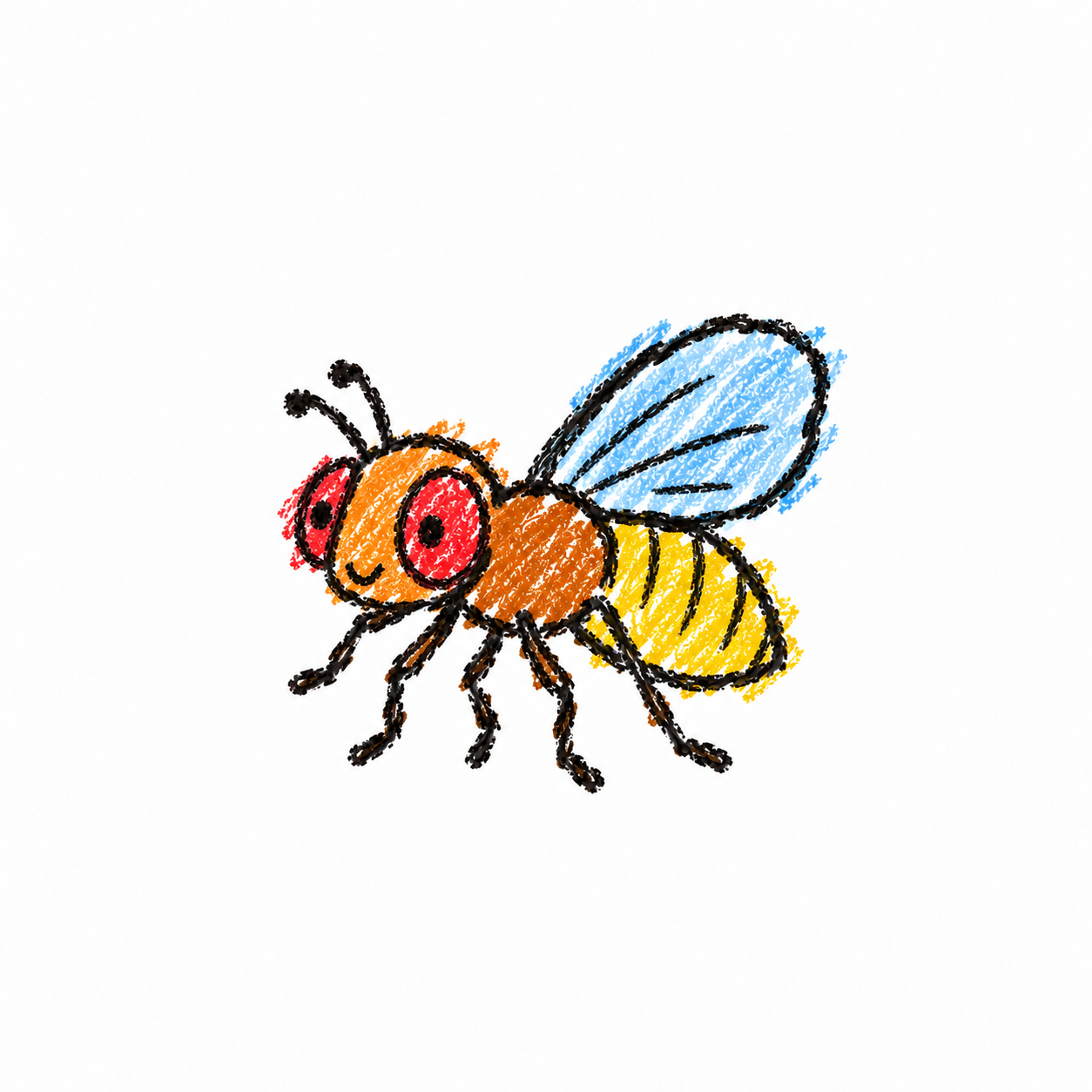 Fruit fly
