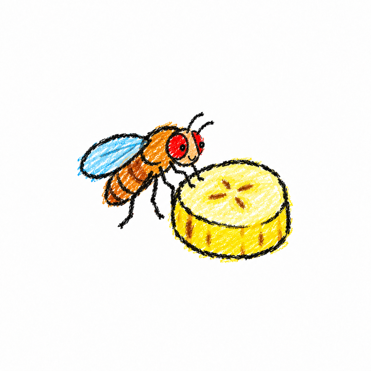 Fruit fly Scene