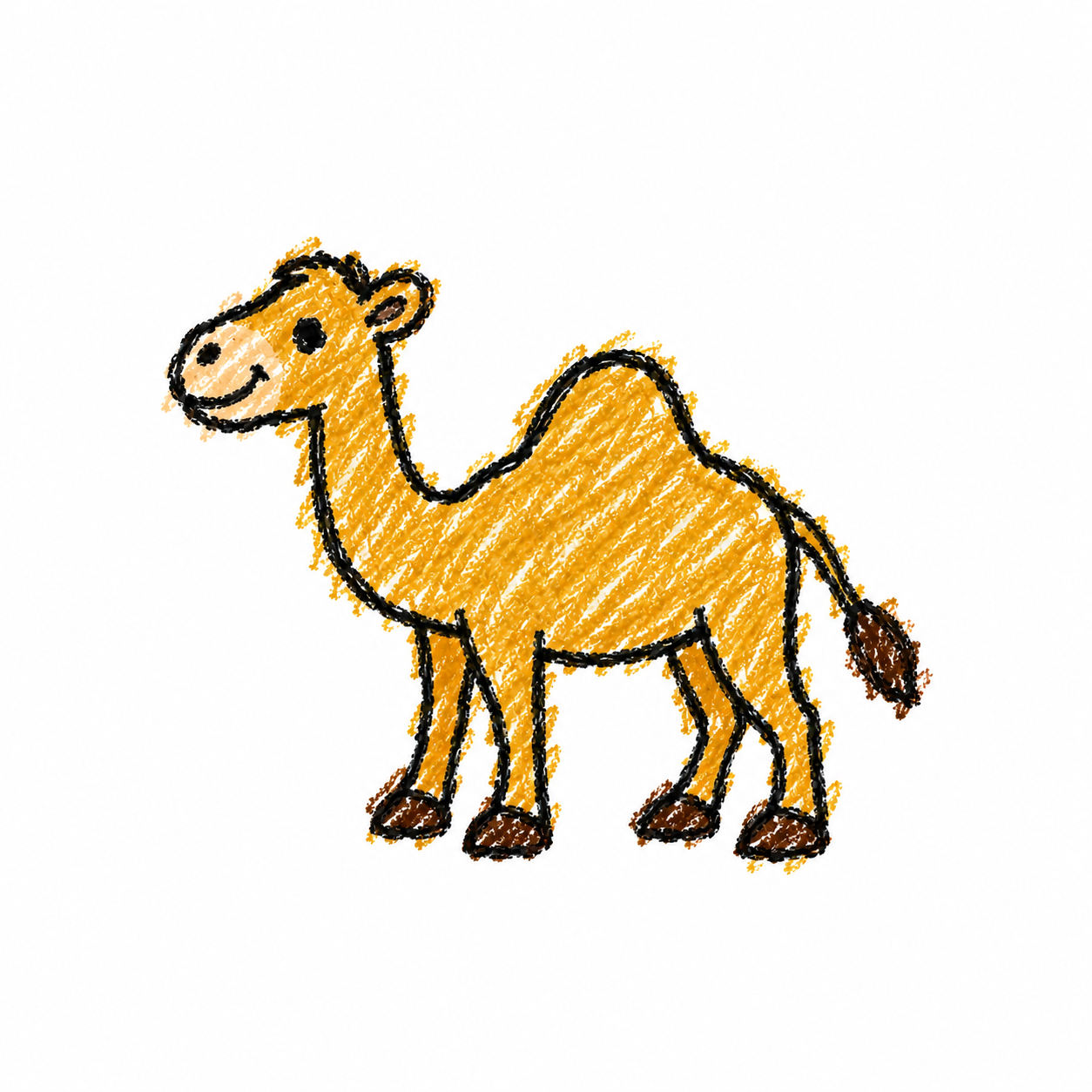 Dromedary camel