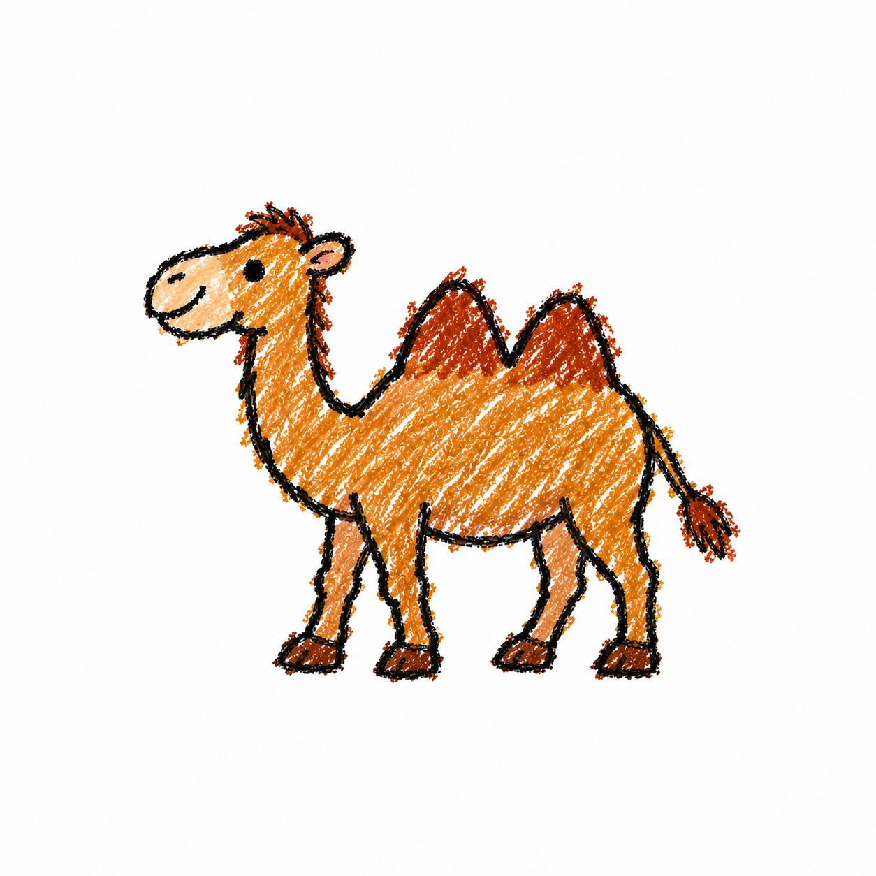 Bactrian camel