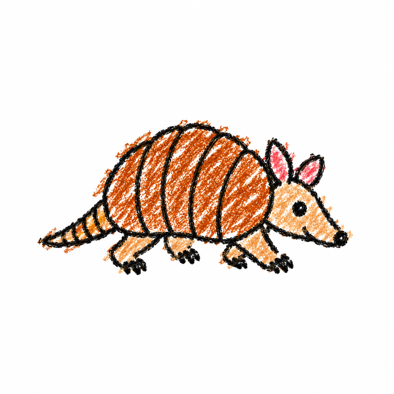 Armadillo