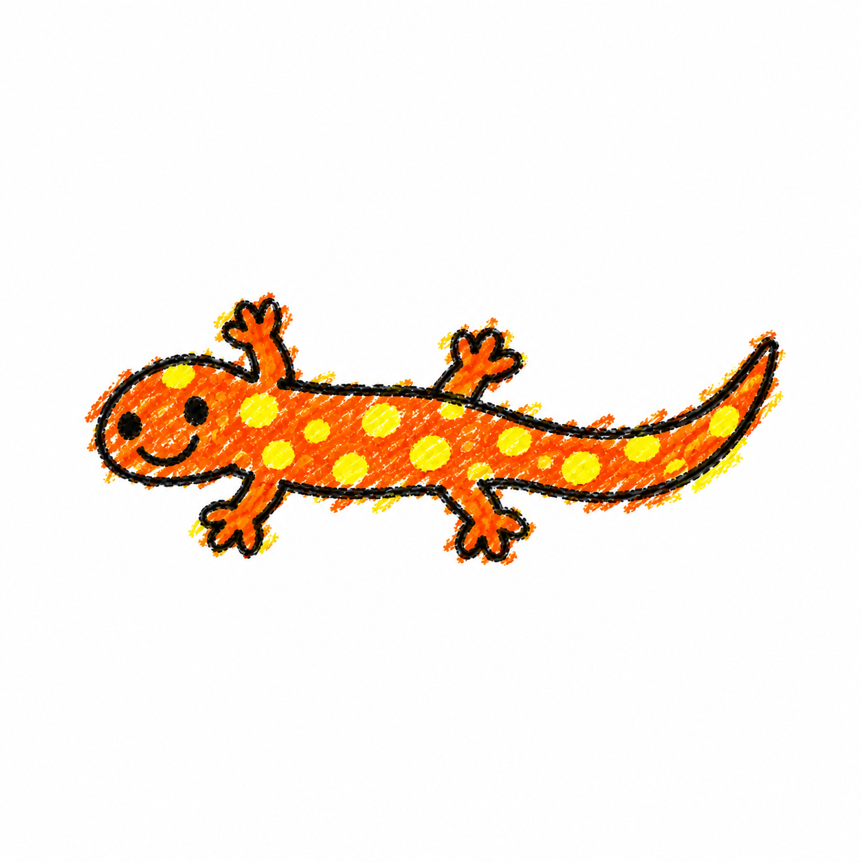Salamander