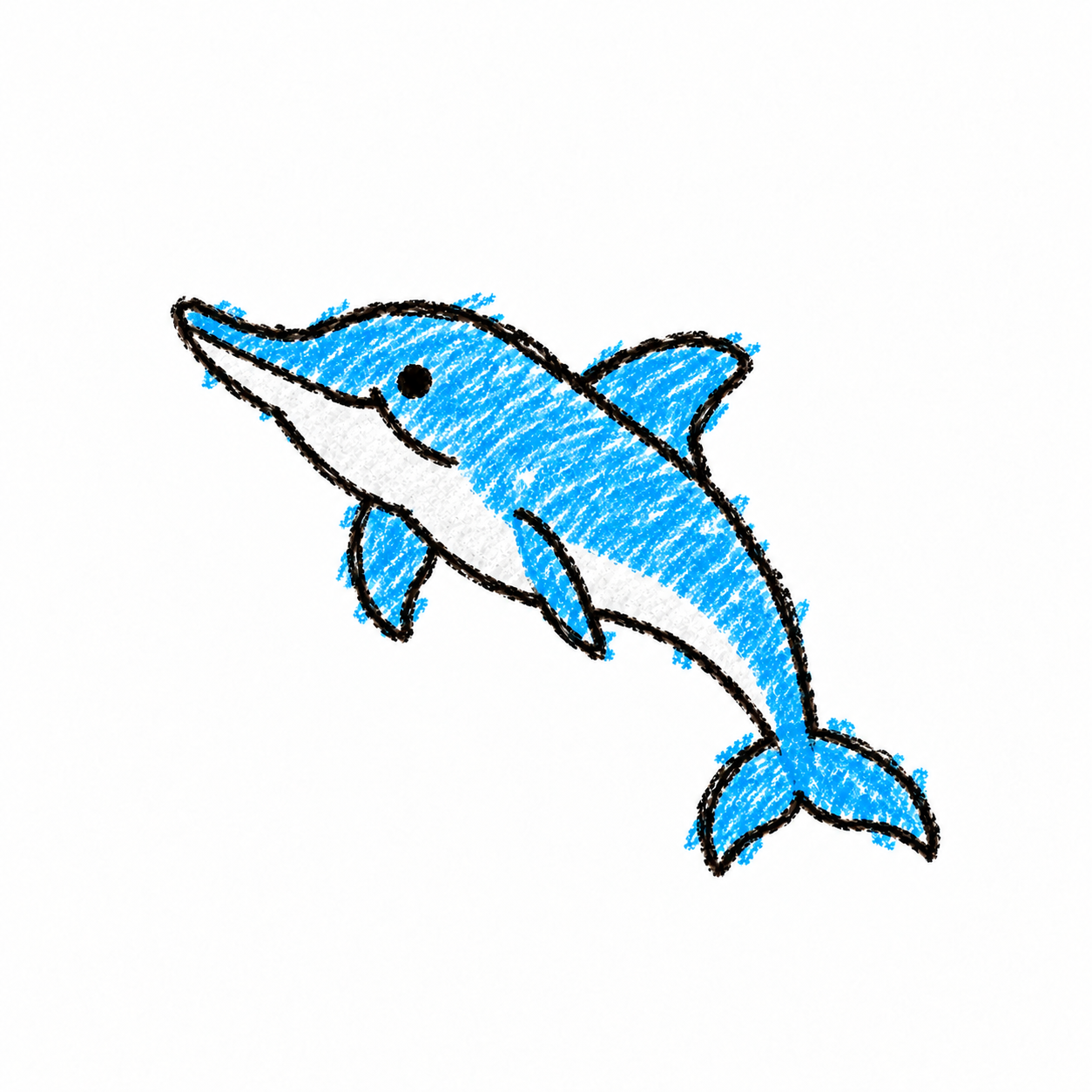 Spinner dolphin