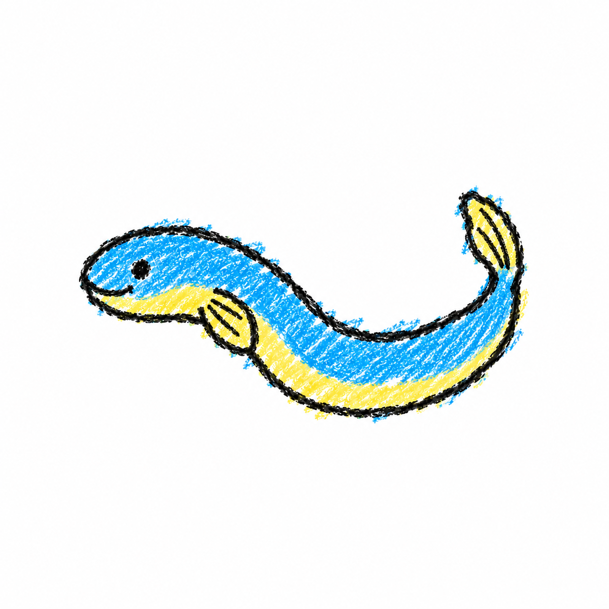 Eel