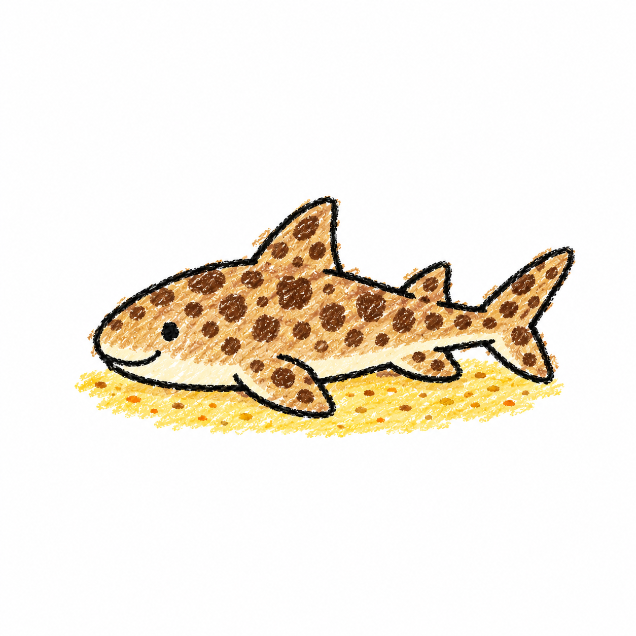 Zebra shark Scene