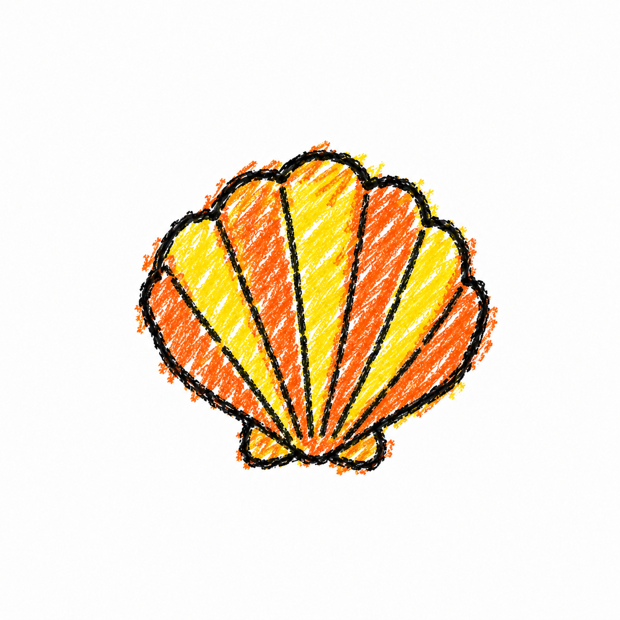 Scallop