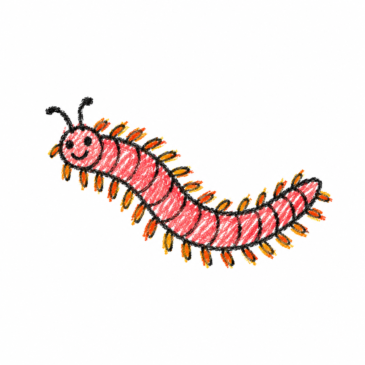Marine bristle worm
