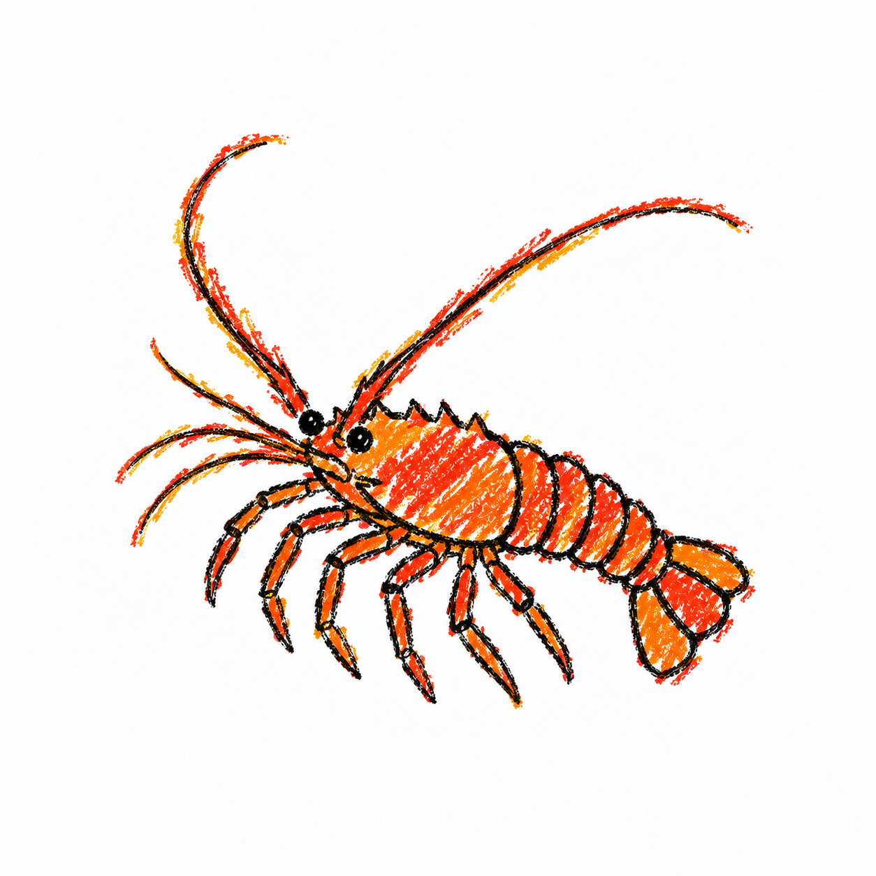 Spiny lobster
