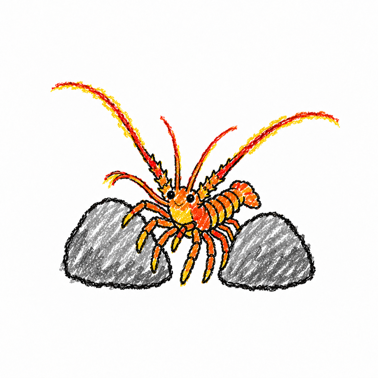Spiny lobster Scene