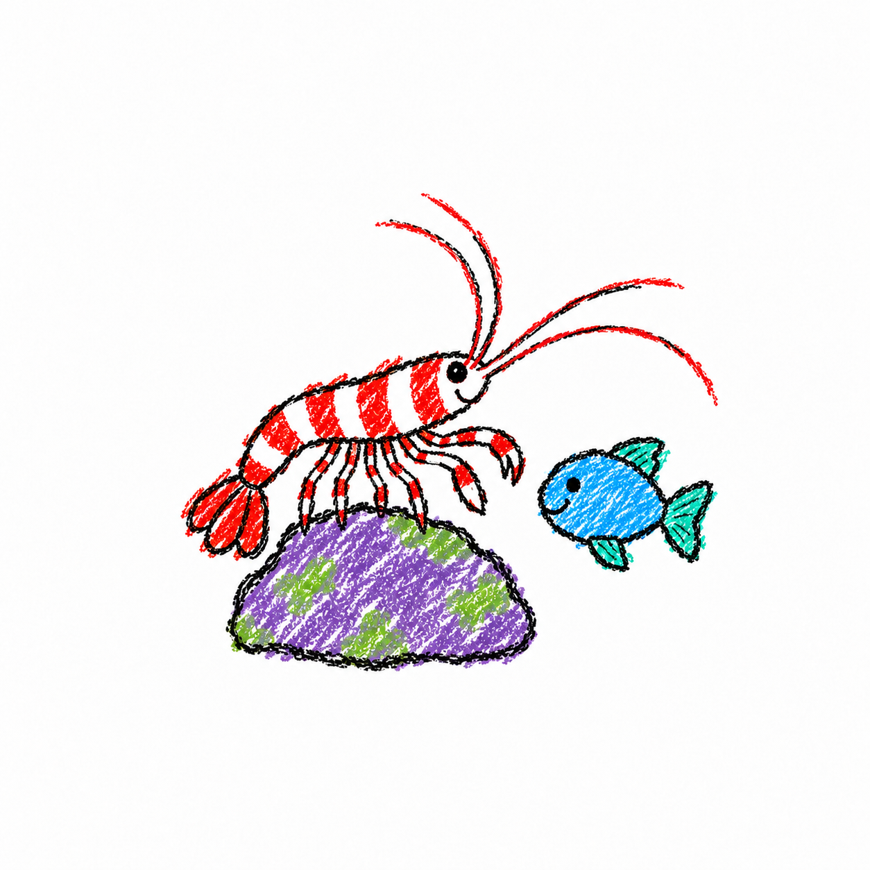 Cleaner shrimp Scene