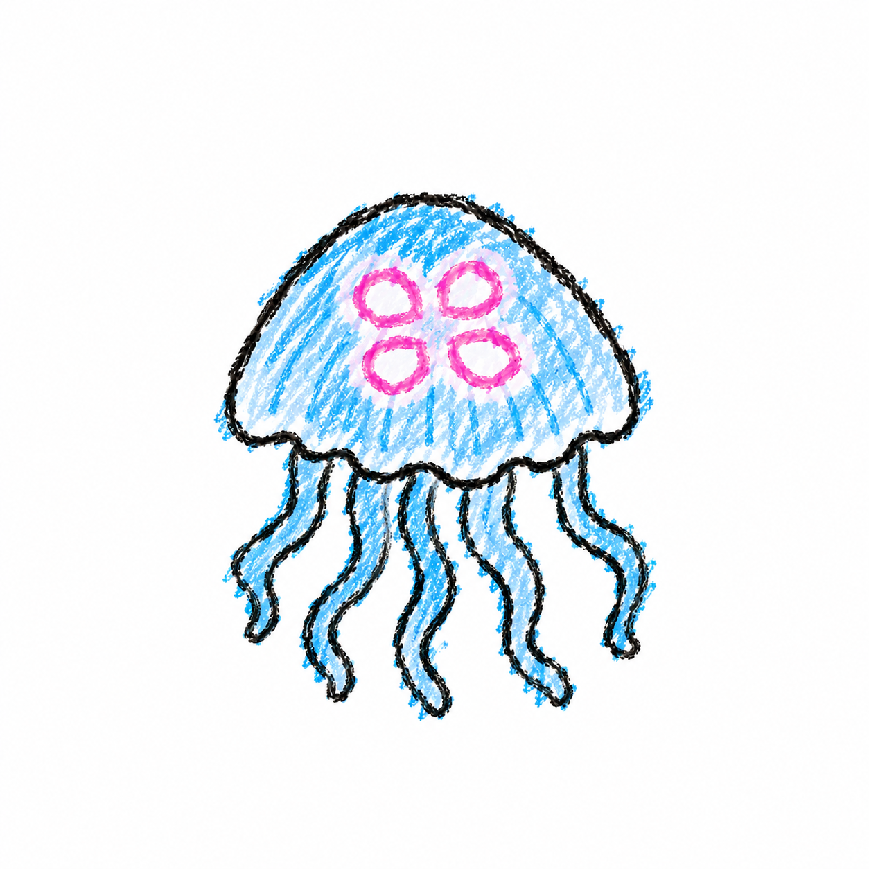 Moon jelly