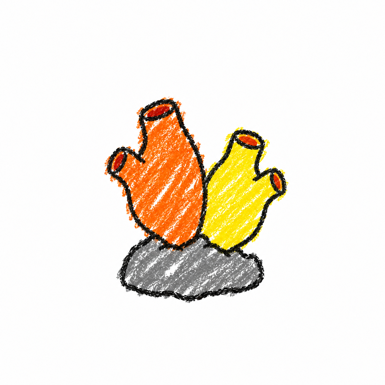Sea squirt Scene