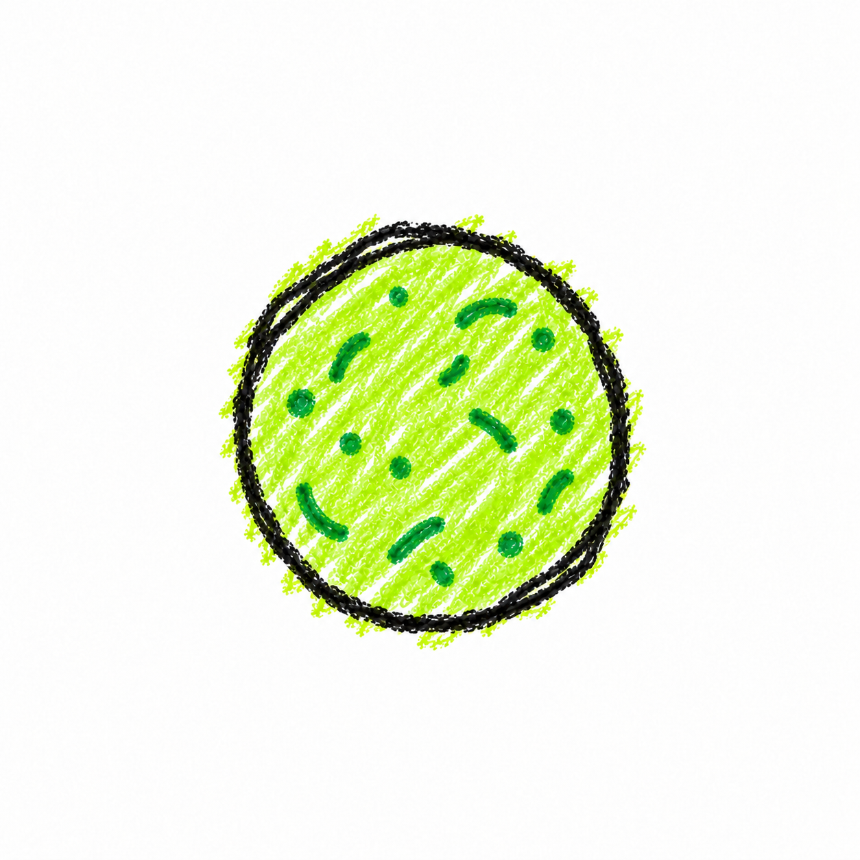 Spherical Bacterium (Diagram)