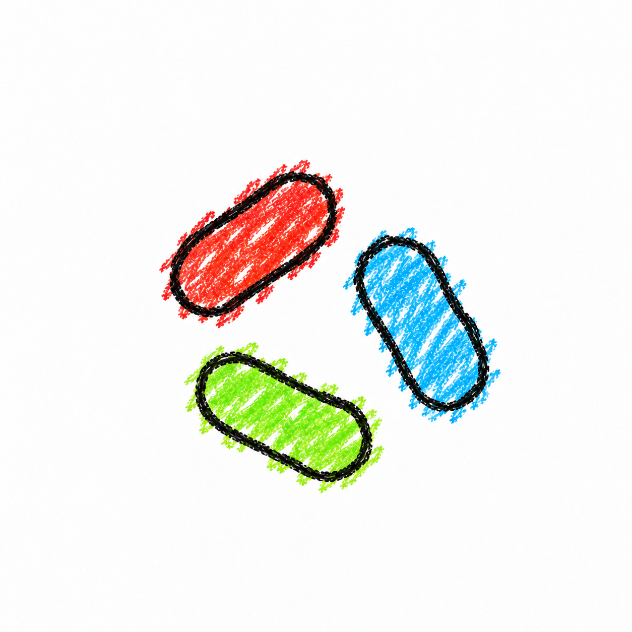 Rod-Shaped Bacterium (Diagram) Scene