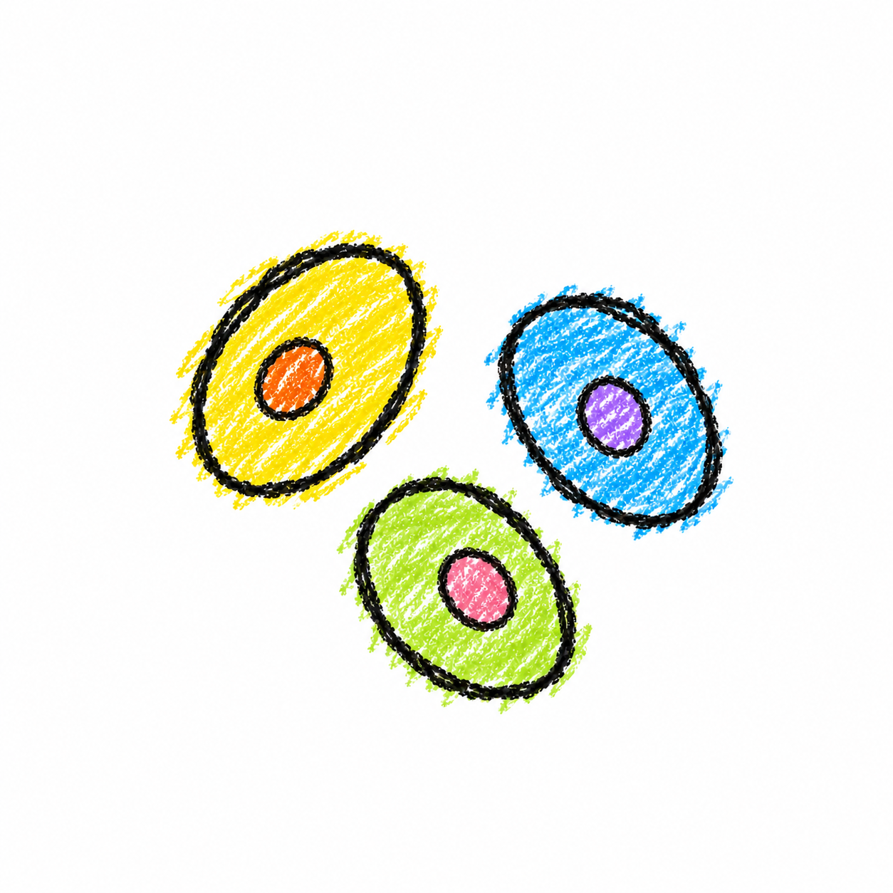 Yeast Cell (Diagram) Scene