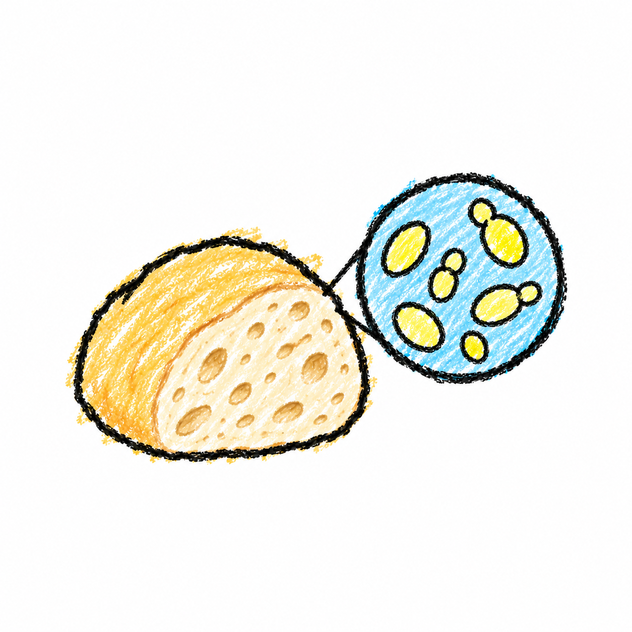 Yeast and Dough Scene